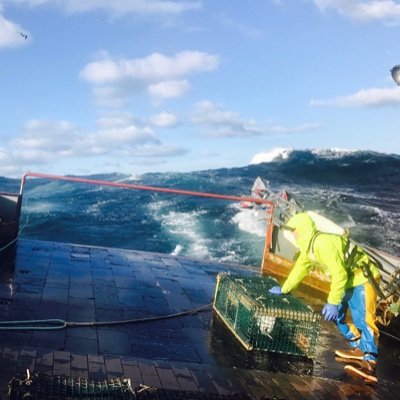 Commercial lobsterman/crabber. Otherwise talking to myself about the nature of language