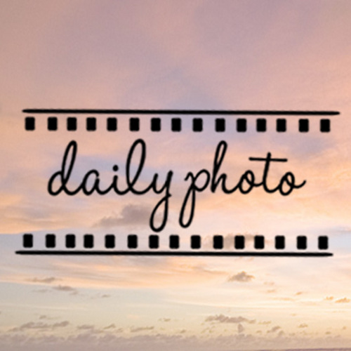 Dailyphoto_'s profile picture. Capturing the most precious moments of your life!
http://t.co/O87U8oveeI