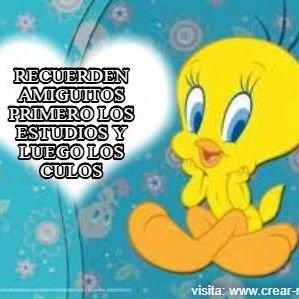 Anichukyy's profile picture. Problem?