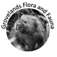 Grovelands Flora and Fauna(@Grovelandssite) 's Twitter Profile Photo