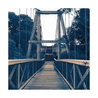 Wandering Melbourne (@wanderingmelbs) 's Twitter Profile Photo