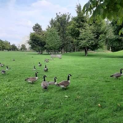 zcommeZoro's profile picture. Sourire est une aumône !