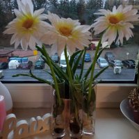 Henderson Kenneth (@hendersonkenne6) Twitter profile photo