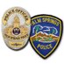 Palm Springs PD (@PalmSpringsPD) Twitter profile photo