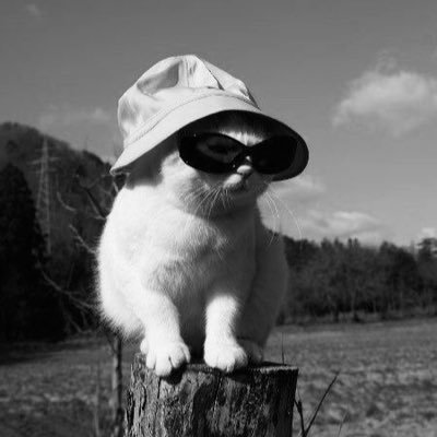 AkalizaSamantha's profile picture. I tweet my thoughts 🥴 you're welcome!