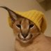 bebiks (@bebiksior) Twitter profile photo bebiks (@bebiksior) Twitter profile photo