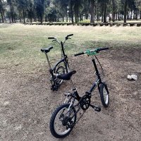 Israel ER (@isragut) 's Twitter Profile Photo