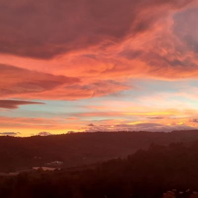 Stefani53855541's profile picture. 