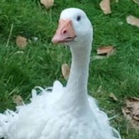 oOEMILOo (@emil_in_der_fab) Twitter profile photo