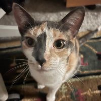 Evan (@evanbarker_) 's Twitter Profile