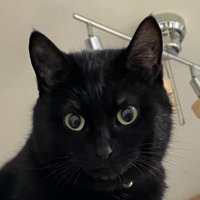 erippo0813 (@erippo0813) 's Twitter Profile Photo