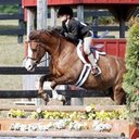 Shea Brady - @SheaSheabrady - Twitter