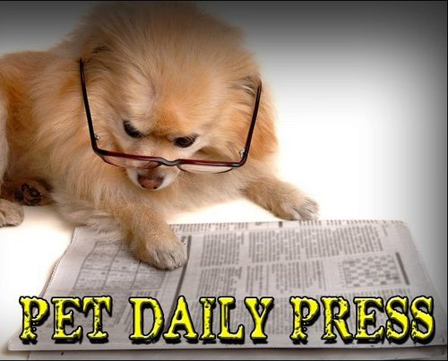PetDailyPress's profile picture. Your one-stop blog for daily pet news! Visit our Facebook https://t.co/29RyQTtvG3