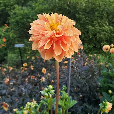 SanjivAgrawal23's profile picture. 