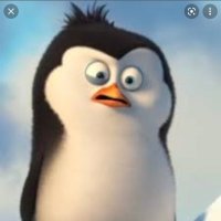 Para (@parafn7) 's Twitter Profile Photo Para (@parafn7) 's Twitter Profile Photo