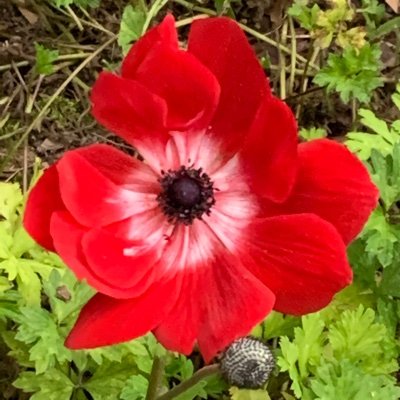AlexisP64491389's profile picture.