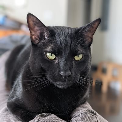 transmogrified's profile picture. Earthling 🌍. Engineer. Space, science & maths enthusiast. Word nerd. Mostly harmless 🐳.