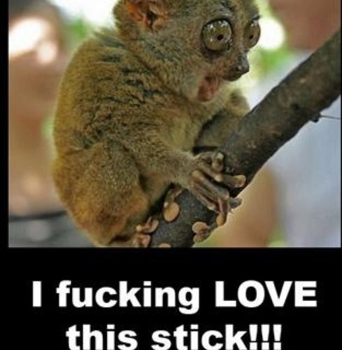 katiep_o43's profile picture. 