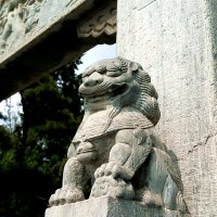 古城南阳where.nanyang (@nanyangwhere) 's Twitter Profile
