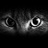 katonit's profile image