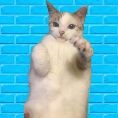 Candy eater and member of Academia. Vaperon lover. Purrely/Fluffal best deck 😼/🧸. @KarmineCorp ❤️🟦