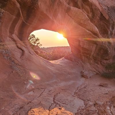 needtrvl's profile picture. 