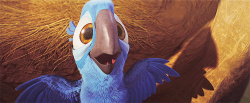 123sssfeg's profile picture. 