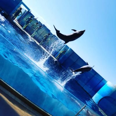 3人の子供の母💪社会保険労務士の勉強中💪合格済➡国家資格キャリアコンサルタント、年金アドバイザー3級、国内旅行業務取扱管理者他🌸実父は70歳で社労士合格‼️
