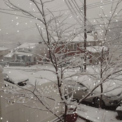 NataliaTAQ1's profile picture. ~Entropia~🇦🇷🧉 🇺🇸