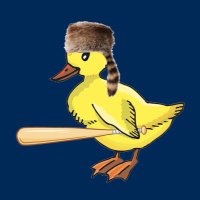 Ducks On The Pond - Mountaineer Baseball(@ducksonpondwv) 's Twitter Profile Photo
