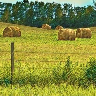 Everything Country CA: music, antiques/collectibles, provide indep. music reviews. Saskatchewan raised, but lived across Canada, returning to my country roots!