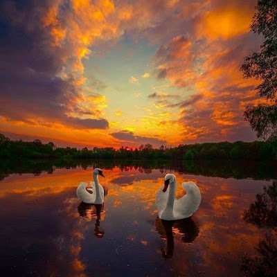 _filip0's profile picture. 