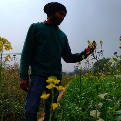 DYadav19's profile picture. 