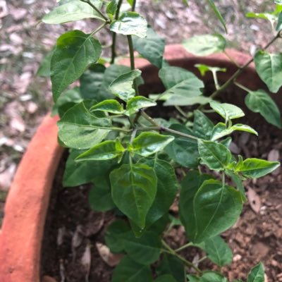 KayCa78's profile picture. 