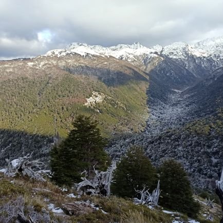 jobale19's profile picture. 