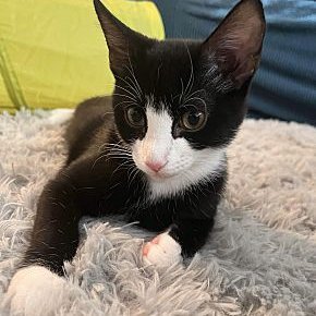 TraceyRSunderl1's profile picture. 