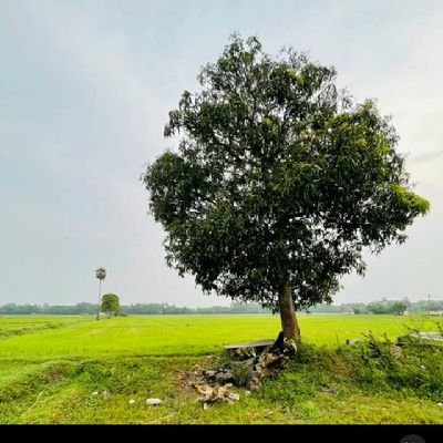 pinkytimku's profile picture. my life my rules