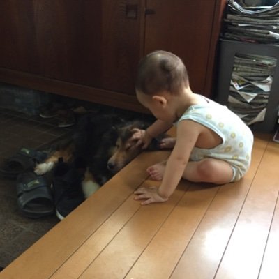 papapower22's profile picture. 共働きで時短勤務をしているアラフォー。コメディカルで時短9時〜17時／週36時間。男の子3人👦👦👦。共働きとか、子育てとか。長男がASD×ADHDで療育も。