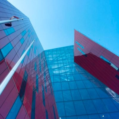 Simon13019's profile picture. No no no