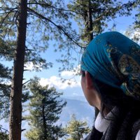 Nazariyaa🇮🇳 | Himachal | Kullu 🏔| Delhi(@nazariyaa__) 's Twitter Profile Photo