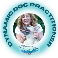 The Bulldog Lady (@suepyne2) 's Twitter Profile