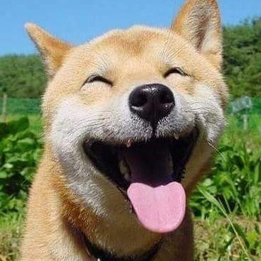 9N3uPtGGZ71MmFe's profile picture. 