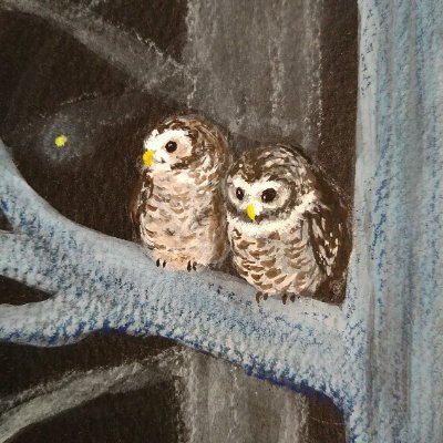 仕事をしながら絵を描いています。
主に月や星、動物を描きます。
キレイなもの、カワイイもの、楽しいものが好きです。
いろんな方の作品を拝見して刺激をもらっています。
どうぞよろしくお願いします😊