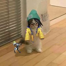 cooper heheさんのプロフィール画像