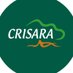 Crisara (@biocrisara) Twitter profile photo Crisara (@biocrisara) Twitter profile photo
