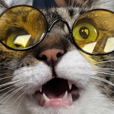 心理学/院生(D3になっていた)/UNISON/42tokyo(2020年2月受かった、level5)/ねこ/殻にこもりたいです/コーヒー/美味しいケーキを食べる瞬間、その一瞬一瞬を噛み締めていきたい