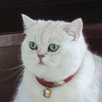 ⌛️ (@kunl_yu) 's Twitter Profile