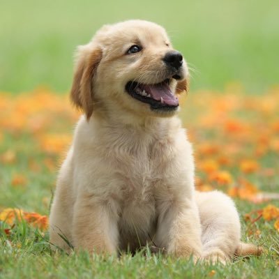 BigWhaleUS's profile picture. No bio