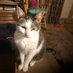 Gracie S (@meg22scot) Twitter profile photo Gracie S (@meg22scot) Twitter profile photo