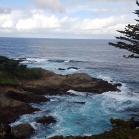 D (@d132) 's Twitter Profile